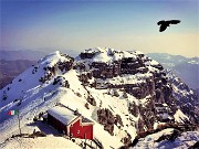 05 Volo a planare del gracchio alpino sopra rifugio Azzoni in Resegone